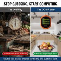 Báscula Digital Colgante de Alta Precisión de 6 kg con Pantalla LCD, Sensor de Aleación de Aluminio, Batería Recargable, OEM para Panadería y Cafetería