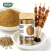 Poudre de cumin certifiée Halal, épice de qualité supérieure, assaisonnement, exportation vers le Moyen-Orient, approvisionnement B2B, arôme