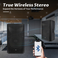 Accuracy Pro Audio CBN15ADD Altavoz Activo de Plástico de 15 Pulgadas con Amplificador de Audio Profesional para Sistema de Sonido