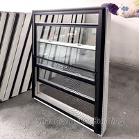 Fenêtre coulissante à double battant sur mesure, cadre en alliage d'aluminium noir, isolation thermique, moustiquaire magnétique en fibre de verre, design moderne