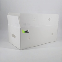 Caisse en polypropylène ondulé minéralisé pour fruits et légumes en chaîne du froid, caisse ventilée pliable en panneaux alvéolés pour expédition en chaîne du froid