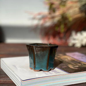 Mini pot de plantes succulentes pour décoration de jardin, vente en gros, avec trou de Drainage - Product Image 5