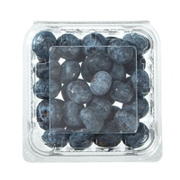Conteneur en plastique PET transparent jetable de 125 g pour myrtilles, boîte d'emballage pour fruits frais à emporter