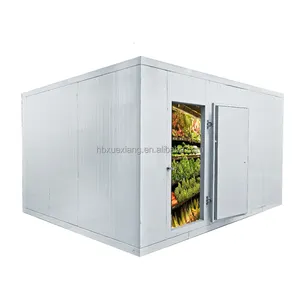 Phòng lạnh công nghiệp lớn để bảo quản thịt trái cây và rau quả