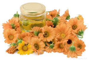 Olio Essenziale di Calendula ad Alta Purezza - per Riparazione della Pelle, Anti-Infiammatorio e Idratante - 100% Naturale - Product Image 5
