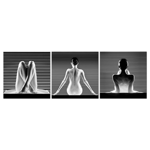 Modern Sexy Lady Figure <strong>Nude</strong> Paintings White and Black Unframed Acrylic Wall <strong>Art</strong> 3 Panels As a Set for Bed Room Living Room - Product Image 1