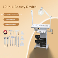 Esthéticienne multifonctionnelle 10 en 1 Nettoyage du visage Soins de la peau Équipement de beauté avec lampe grossissante pour le visage pour salon spa