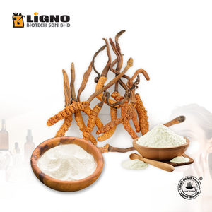 ผู้ผลิตมาเลเซีย Ophiocordyceps sinensis LiGNO OCS02 ได้รับการรับรองฮาลาลและโคเชอร์ เครื่องดื่มชนิดละลายน้ำได้ เกรด OEM ODM สำหรับชงดื่มทันที - Product Image 1