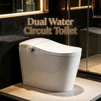 Système de bidet intelligent à siphon pour toilettes commerciales et domestiques, étanche IPX4, prise personnalisée pour villa et appartement