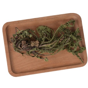 ธรรมชาติป่าแห้งสีเขียวใบป่า Taraxacum Officinale พืชทั้งใบสำหรับสมุนไพร - Product Image 1
