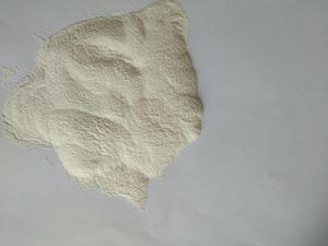 Complément alimentaire probiotique <span class=keywords><strong>naturel</strong></span> à base de Bacillus Subtilis pour animaux, avec acides aminés de qualité alimentaire et vitamine C - Product Image 4