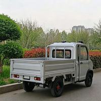 Camionnette électrique multifonctionnelle, petit véhicule à énergie nouvelle, adapté aux livraisons agricoles et à un usage personnel