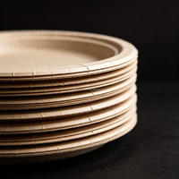 Grandes assiettes en papier robustes jetables pour les barbecues, la restauration et les buffets