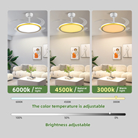 Ventilateur de plafond 42 pouces avec lumière latérale, haut-parleur Bluetooth, moteur DC silencieux, intelligent, pour chambre et crèche, personnalisable OEM