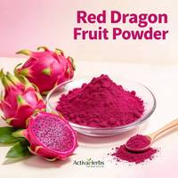 Poudre de fruit du dragon rouge, poudre de pitaya rouge, lyophilisée, séchée par pulvérisation, en vrac