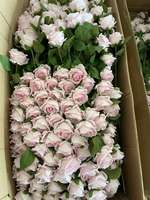Roses artificielles en gros, rouge, blanc, rose mélangé, MOQ 50 pièces pour événements, fêtes, fournitures hôtelières