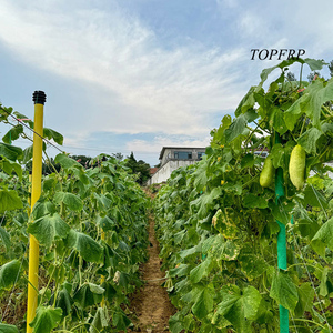 Customized 1mm~10mm Agricultural <b>Planting</b> Passion Fruit Glass Fiber Support <b>Frame</b> Affordable Glass Fiber Rod - Product Image 3