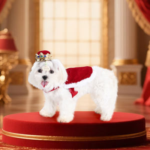 चैंपियन शानदार क्लासिक पॉलिएस्टर पालतू जानवर सर्दियों के मौसम राजकुमार राजकुमारी राज्याभिषेक कॉस्प्ले - Product Image 3