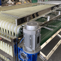 Automatische roestvrijstalen fruit- en groentesorteermachine voor noten en aardbeien met 3-7 sorteerstanden, capaciteit 1000 kg/uur