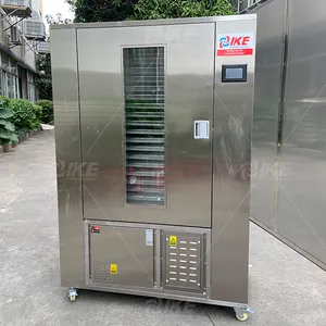 IKE Fruit And Vegetable Drying Cabinet Deshidratador Food Heat Pump CE Food Dehydrator Stainless Steel Provided 220v 2 Years 160