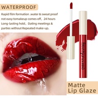 Lápiz Labial Líquido Mate de Terciopelo, Resistente al Agua, Antiadherente, de Larga Duración, Venta al Por Mayor para Europa y Estados Unidos