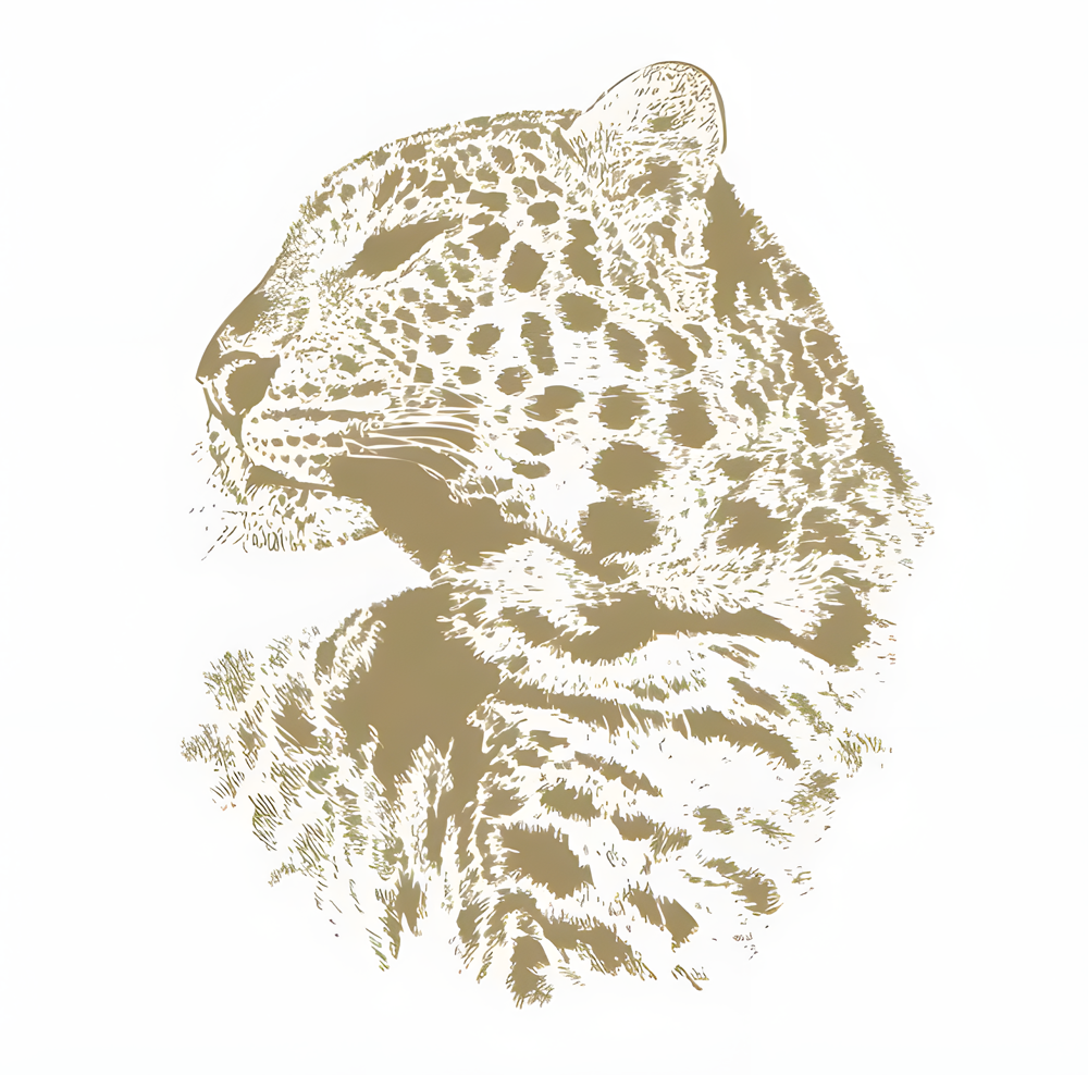 Wholesale Gold Tiger PET Iron For Heat Transfer Printing Soft Touch Press Decals For Garment