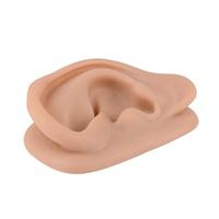 Modelo de Oído Humano Ampliado de Silicona, Modelo de Práctica de Acupuntura para Enseñanza y Educación Biológica