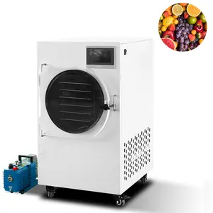 freezer dryer small laboratory freeze dryer drying machine equipment for home