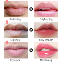 Vente en gros cosmétiques maquillage marque privée hydratation naturel végétalien organique permanent rose baume à lèvres