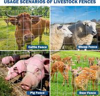 Clôture en grillage métallique pour bétail, élevage et enclos à animaux