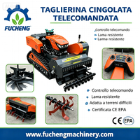 Tondeuse à fléaux télécommandée sur chenilles CE EPA, haute efficacité, pour terrains en pente, usage agricole européen