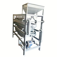 Machine de criblage automatique en acier inoxydable pour noix de cajou, café, fèves de cacao, noix, avec 4 niveaux de tri haute précision