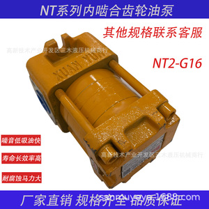 Bomba de engranajes internos Nt, bomba de aceite de 350 bar, sistema hidráulico de 1 etapa, eje horizontal de hierro fundido - Product Image 5