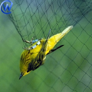 Filet de maille en Nylon de contrôle des oiseaux 100 pièces 20X30Cm filet de jardin <span class=keywords><strong>Anti</strong></span>-oiseau de lutte antiparasitaire 5G Agriculture filet <span class=keywords><strong>Anti</strong></span>-oiseau pour le riz - Product Image 1