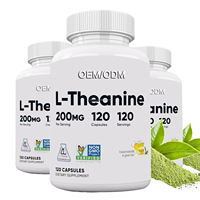OEM ODM L-Théanine 200mg Compléments alimentaires naturels de haute qualité pour favoriser le sommeil et soulager le stress Capsules végétariennes