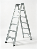 Échelle à marches en aluminium certifiée EN131, échelle pliante pour la maison avec plateau supérieur pour outils, échelle de travail portable pour l'intérieur