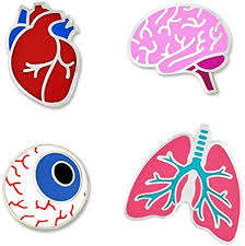 Pins Médicos Personalizados, Regalo para Médicos, Pins de Solapa con Forma de Riñón, Corazón, Pulmones, Cerebro, Insignia Personalizada de Navidad, Impresión Digital Promocional, Chapado - Product Image 6