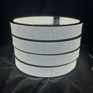 Ультра высокой плотности 20 рядов колесных лент с кольцевыми лампами чисто белые автомобильные задние фары для внедорожников - Product Image 1