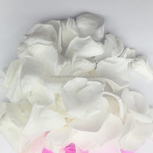 Pétalos de Rosa Preservados, Confeti para Bodas, Pétalos Grandes Rojos, Blancos, Azules y Rosas, Cesta para Niña de las Flores, Flores Secas, Decoraciones Navideñas - Product Image 6