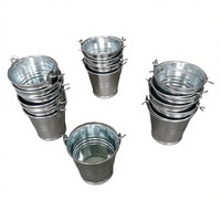 Seau de jardin miniature coloré, boîte à bonbons pour décoration de mariage, pot de fleurs avec poignée, seau en métal pour l'eau