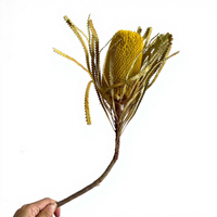 Bouquet de fleurs séchées fait main de style nordique, inspiré d'Instagram, avec des banksias séchées pour vase de salon et décorations de centre commercial