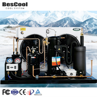 Compresseur de réfrigération à haut rendement Offre Spéciale 15hp Nouveau type d'ouverture Unité de condensation Pompes à chaleur Économie d'énergie et automatique