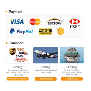 Poudre de super-aliments verts biologiques de haute qualité avec probiotiques pour le bien-être quotidien - Product Image 6