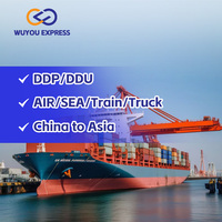 Service logistique professionnel porte-à-porte DDP DDU, transitaire aérien et maritime FCL LCL, agent maritime Chine vers Japon Corée du Sud