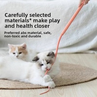 Jouet interactif pour chat en ABS durable, canne de pêche flexible en plastique, queue de souris amusante, baguette de chaton amusante