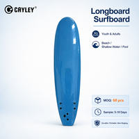 Planche de surf personnalisée XPE EPS HDPE Longboard Ocean Wave Board OEM ODM Logo et taille personnalisés pour le surf en mer et sur la plage