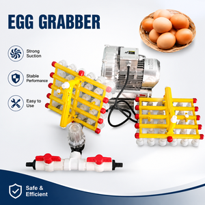 Pinza de Vacío Automática para Recolección de Huevos, para Sistema Neumático de Procesamiento Avícola de 30 Huevos, Ventosa de Silicona para Recoger y Colocar - Product Image 1