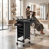 Chariot de salon de coiffure en plastique robuste avec support pour sèche-cheveux, chariot de rangement multifonctionnel à roulettes pour outils de salon