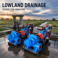 Pompe centrifuge à double aspiration en fonte de type S, système d'irrigation goutte à goutte pour serre, carter divisé
