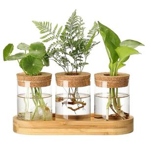 Stations de propagation, terrarium pour plantes avec couvercle et support en bois, vase à fleurs en verre pour bureau, décoration intérieure, cadeaux - Product Image 1